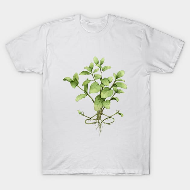 mint plant yoga T-Shirt by KindSpirits